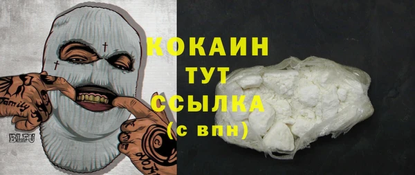 Альфа ПВП Верея