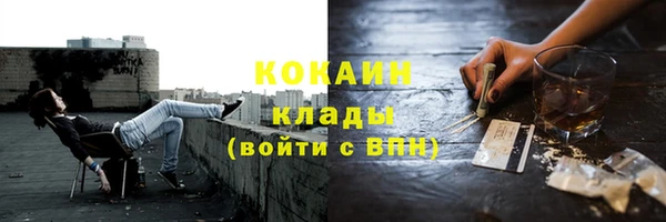 Альфа ПВП Верея