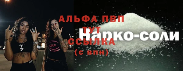 Альфа ПВП Верея