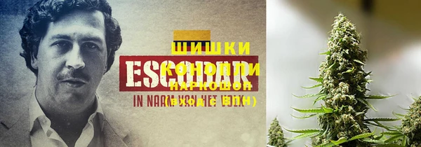 Альфа ПВП Верея